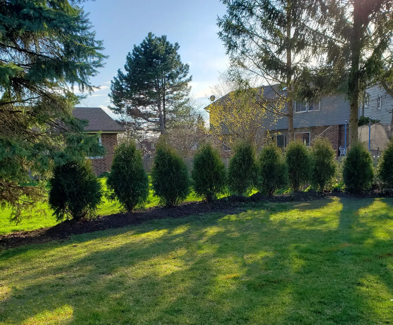 Privacy Hedge