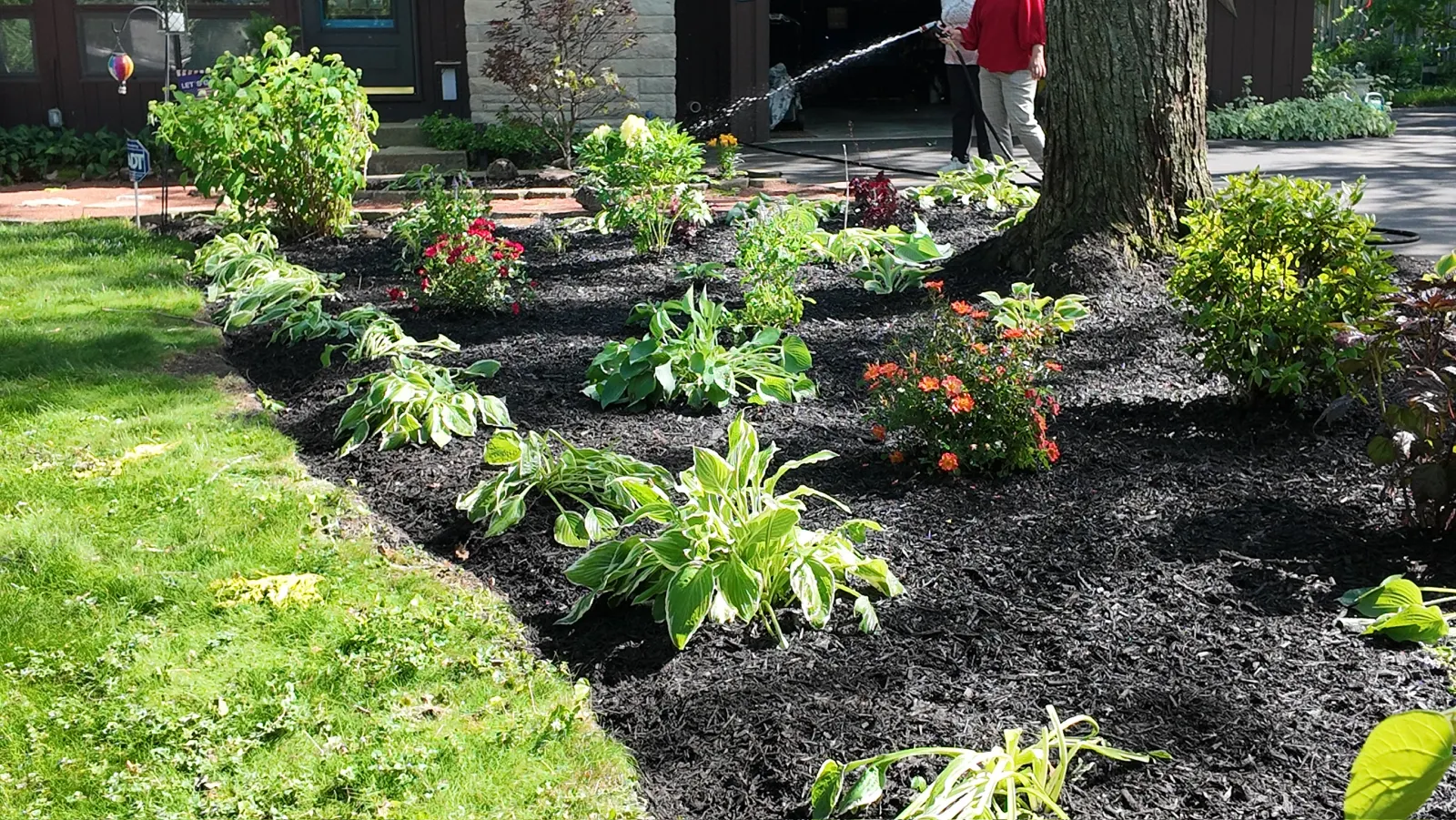 New Plantings