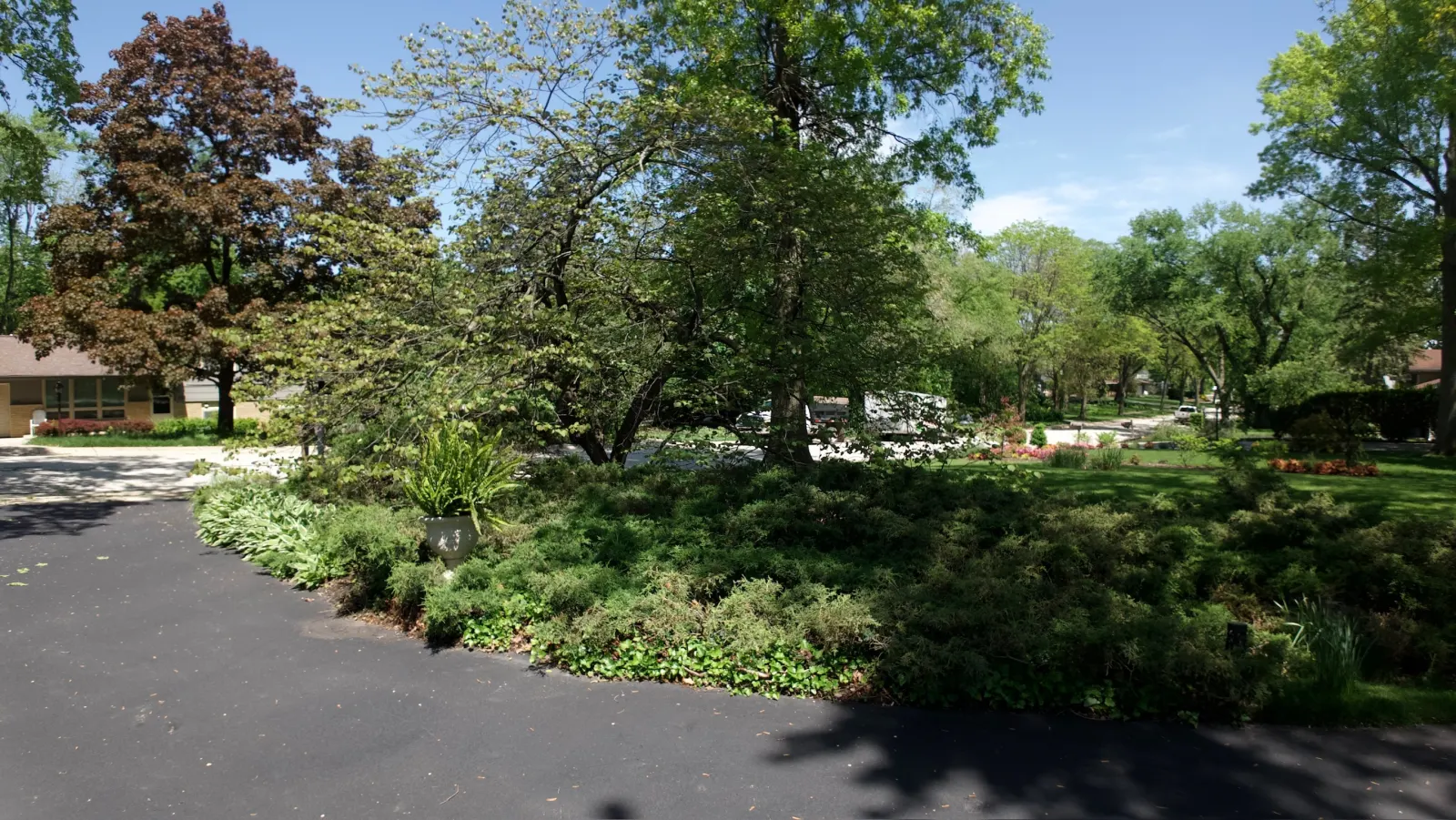Shade Tree & Beds