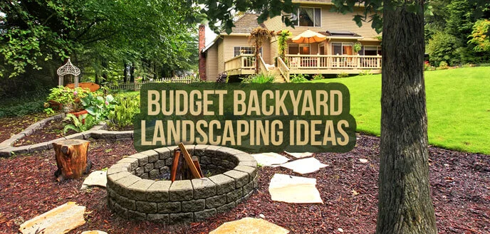 Factors to Consider When Budgeting for a Backyard Landscaping Project