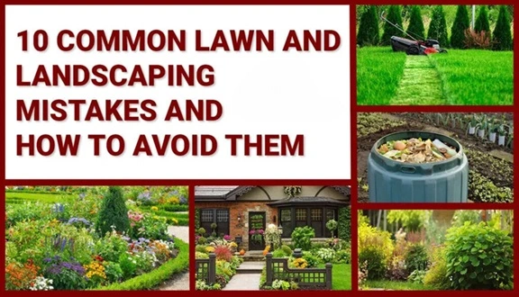 Landscape Design Mistakes You Need to Avoid
