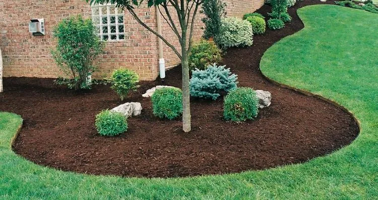 Why Mulching is Essential for Healthy Orchards