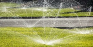 Stay Green The Comprehensive Guide to Irrigation