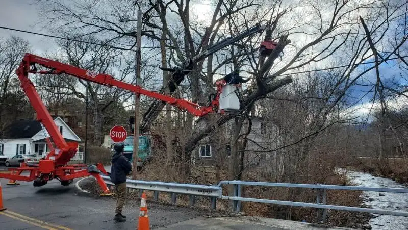 Why Opt for Professional Emergency Storm Damage Tree Cleanup?