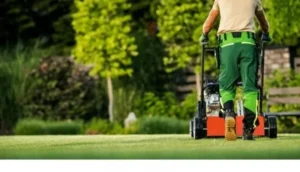 What's the Real Cost of Professional Landscaping?