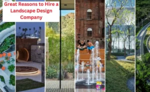Great Reasons to Hire a Landscape Design Company