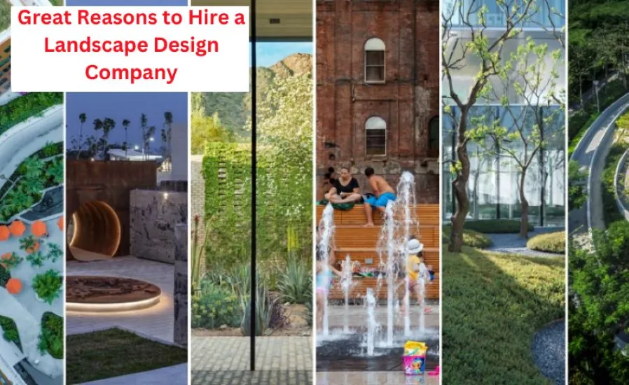 Great Reasons to Hire a Landscape Design Company