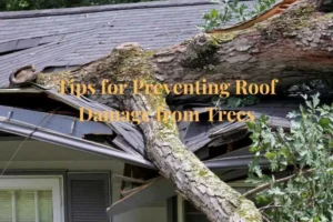 Tips for Preventing Roof Damage from Trees