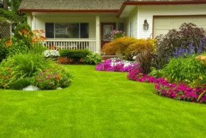 Enhance Your Outdoor Space Explore Professional Planting and Softscape Installation Services!