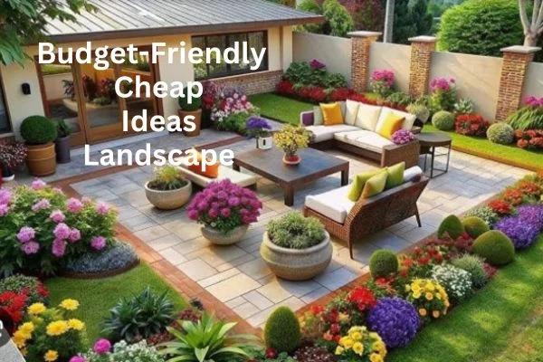 Budget-Friendly Cheap Landscape Ideas for Your Home