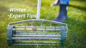Expert Tips to Prepare Your Lawn for Winter