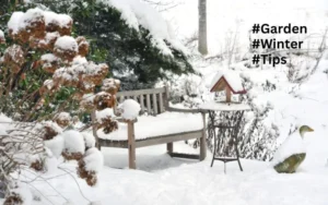 5 Simple Tips for Preparing Your Garden for Harsh Winter Weather