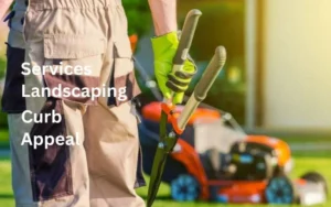 How Professional Landscaping Services Can Enhance Your Property’s Curb Appeal