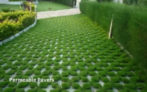 Permeable Pavers A Game-Changer for Smarter, Greener Living!