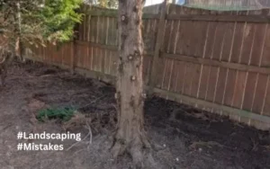 Devastating Landscaping Mistakes