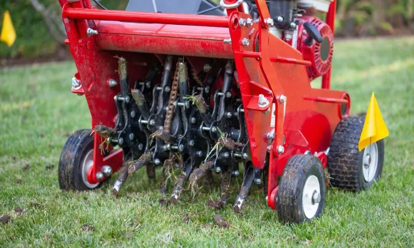 Garden Soil Testing 5