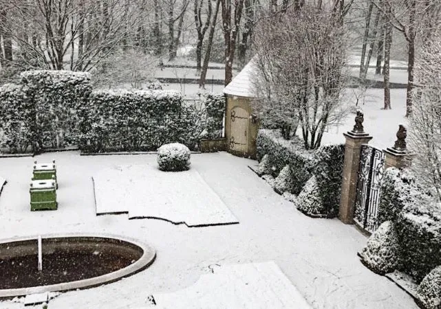 How to Create a Winter Interest Garden for Year Round Beauty 4