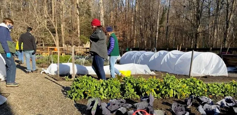 Protecting Plants from Frost 5 Protecting Plants from Frost 4