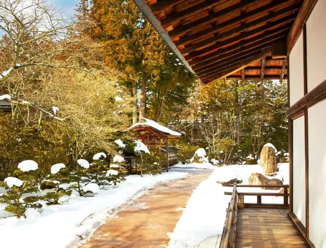 Vibrant Winter Garden Color 4 Vibrant Winter Garden Color 6