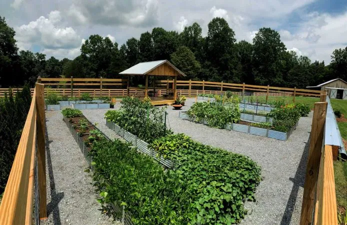 Winter Landscape Maintenance 6