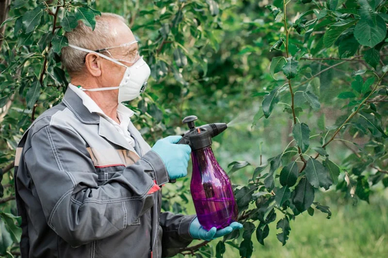 Winter Plant Disease Management 4