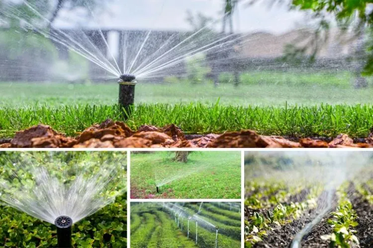 Protect & Preserve: Winterizing Your Irrigation System 2 Winterizing Your Irrigation System 1