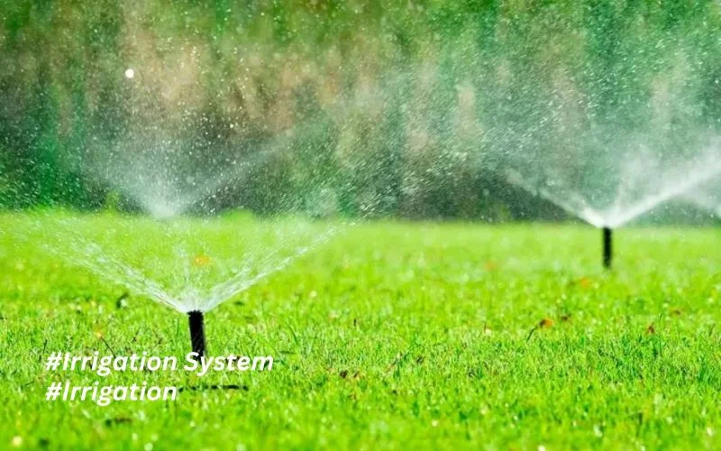 Protect & Preserve: Winterizing Your Irrigation System 1 Winterizing Your Irrigation System 7
