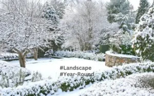 Year-Round Resilience Confidently Winter & Storm-Proof Your Landscape