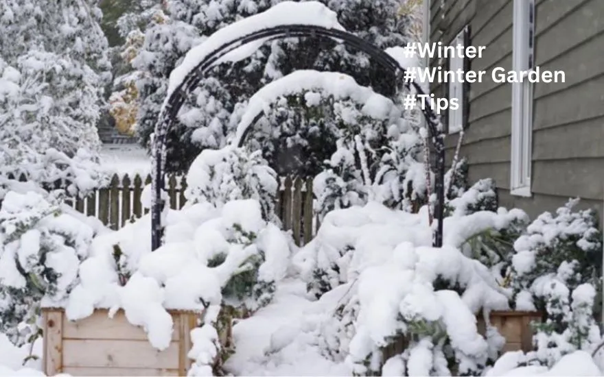 Winter Wonderland: How to Create a Magical Winter Landscape?