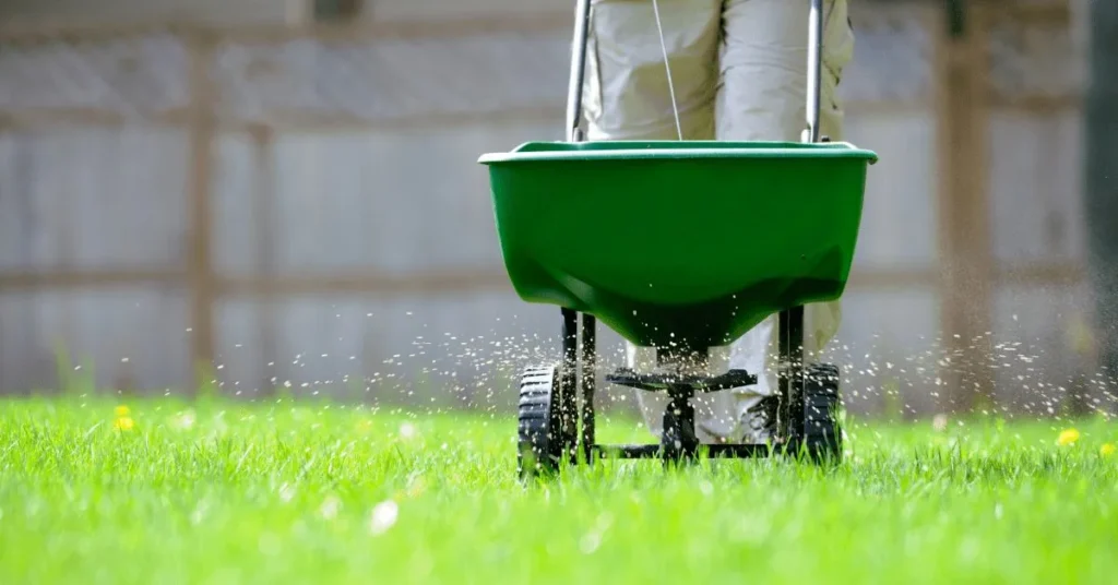 5 Essential Late Winter Lawn Care Tips for a Thriving Spring Yard 4