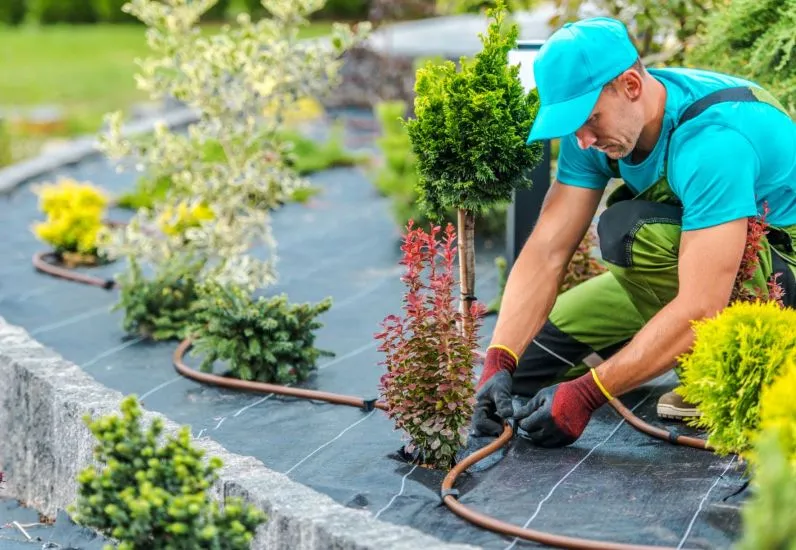 5 Key Steps to Get Your Landscape Spring Ready 7