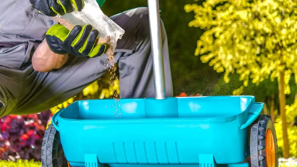 Revive Your Lawn Yard for Spring A Simple 7 Step Guide 4