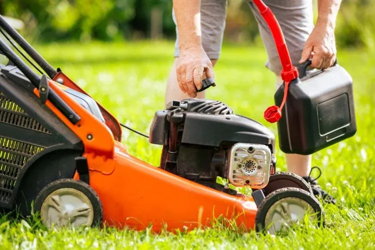 Why Regular Mowing Matters The Secret to a Lush Lawn 4