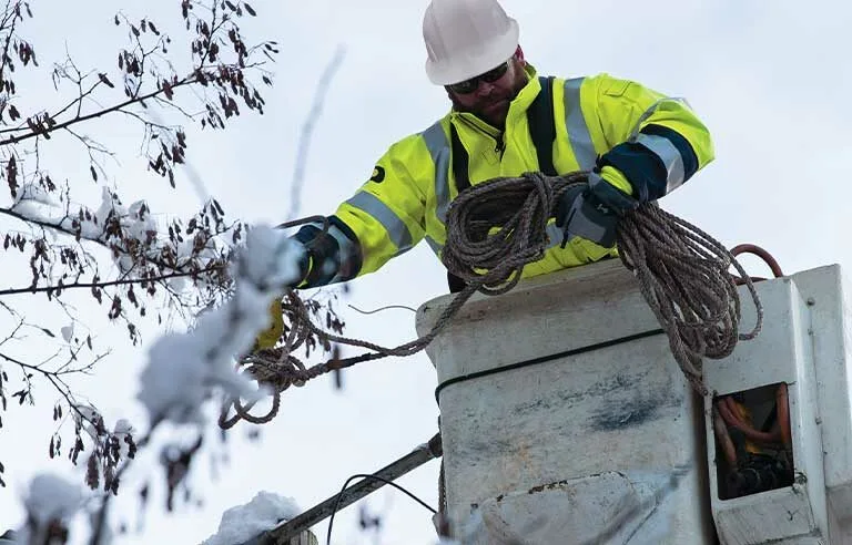 Why Winter Lawn Care Matters Keep Your Grass Healthy Year Round 4