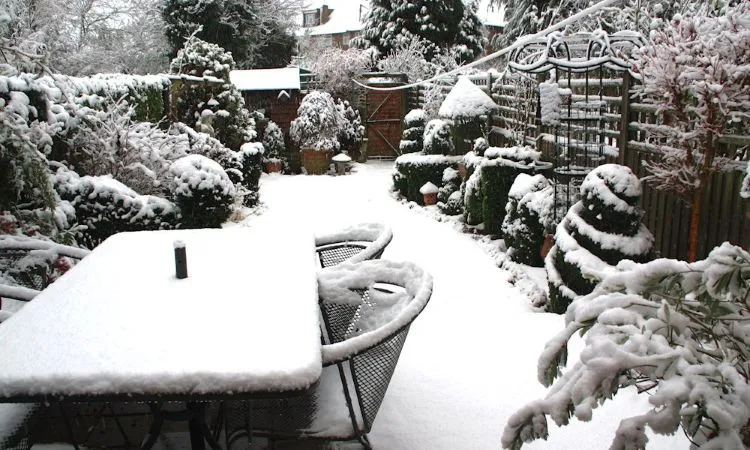Winter Essential Garden Protection 2 Winter Garden Protection 1