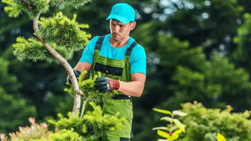 Winter Essential Garden Protection 4 Winter Garden Protection 3