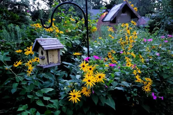 Winter Essential Garden Protection 6 Winter Garden Protection 5