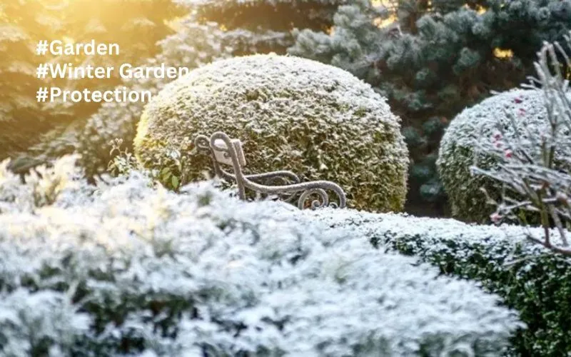 Winter Essential Garden Protection 1 Winter Garden Protection 7