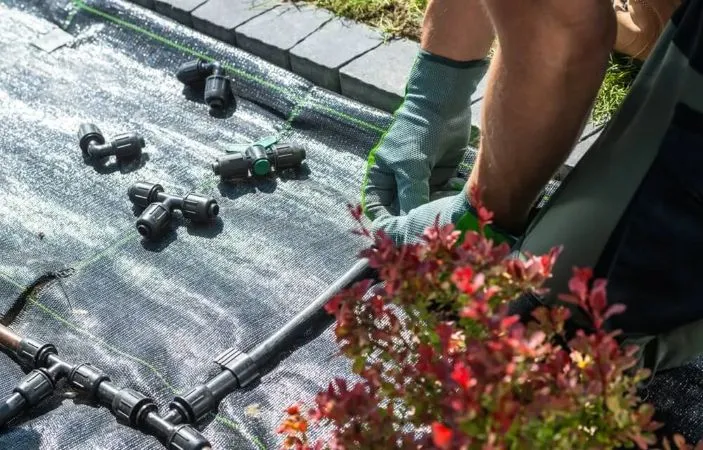 Winter Lawn Care A Healthy Yard Guide 4