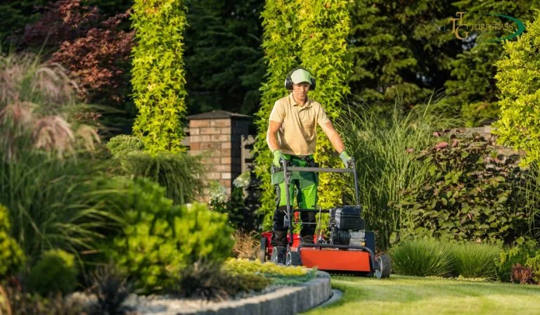 Essential Lawn Care Aerating Overseeding Fertilizing for a Lush Yard 4