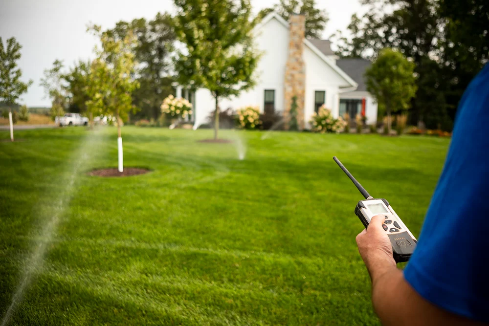 Essential Lawn Care Aerating Overseeding Fertilizing for a Lush Yard 5