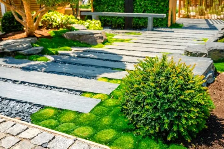 Everything About Landscape Hardscape 2025 Edition 6