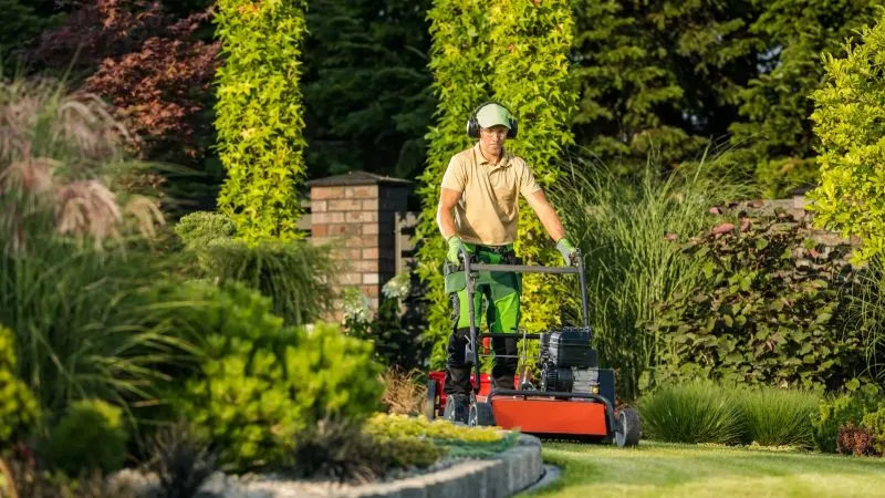Spring Lawn Landscape Care A Seasonal Guide 6