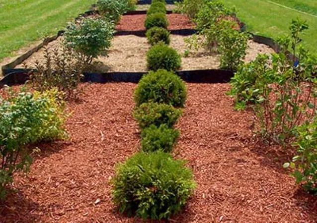 Spring Lawn Landscape Care A Seasonal Guide 7