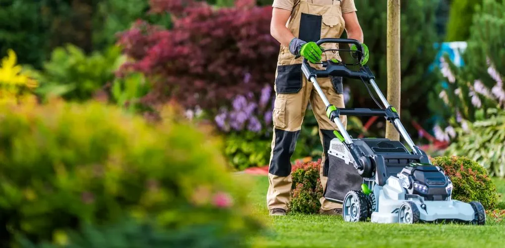 Spring Lawn Landscape Care Essential Tips for a Thriving Yard 4