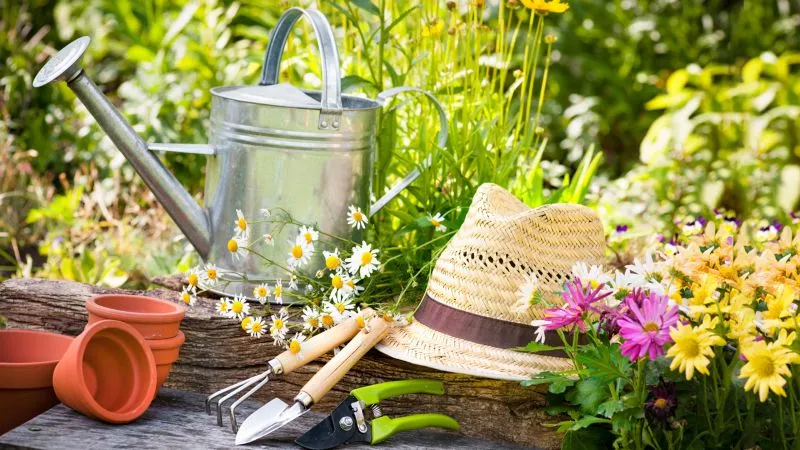 Spring Prep: Essential Steps for a Thriving Landscape 4 Spring Prep Essential Steps for a Thriving Landscape 4