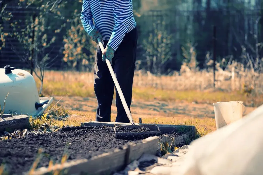 Spring Prep: Essential Steps for a Thriving Landscape 1 Spring Prep Essential Steps for a Thriving Landscape