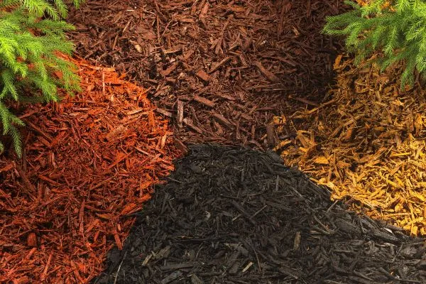 The Importance of Mulching: Essential for a Thriving Landscape 3 The Importance of Mulching Essential for a Thriving Landscape 2