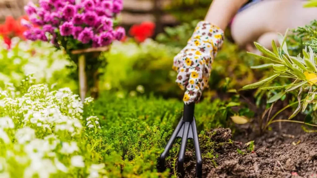 The Ultimate Guide to Spring Garden Prep Revival 4