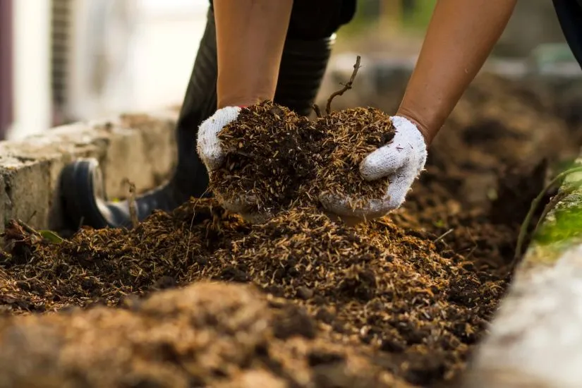 Ultimate Spring Garden Cleanup: How to Refresh Your Landscape 3 Ultimate Spring Garden Cleanup How to Refresh Your Landscape 1